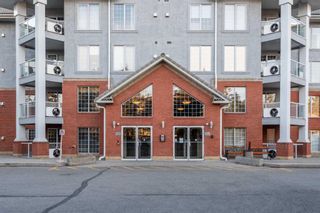 Photo 32: 119 8535 Bonaventure Drive SE in Calgary: Acadia Apartment for sale : MLS®# A2096233