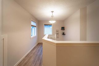 Photo 23: 230 Crystal Green Point: Okotoks Detached for sale : MLS®# A2097953