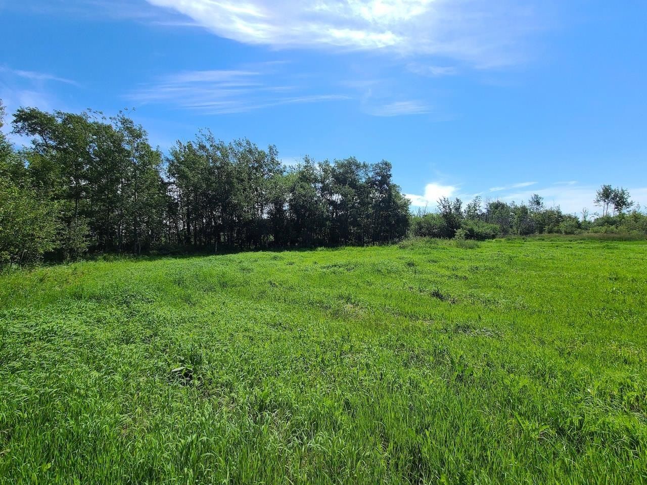 Main Photo: LOT 1 ASH Avenue in Fort St. John: Fort St. John - Rural W 100th Land for sale in "GRANDHAVEN" : MLS®# R2748706