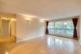 Photo 8: 308 816 89 Avenue SW in Calgary: Haysboro Apartment for sale : MLS®# A1228379