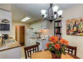 Photo 6: 217 1200 PACIFIC Street in Coquitlam: North Coquitlam Condo for sale in "GLENVIEW MANOR" : MLS®# V1070671