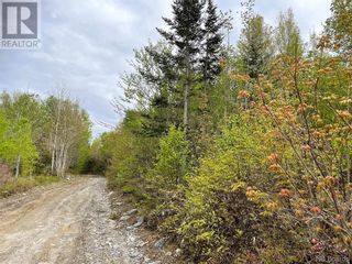 Photo 12: -- Gaines Road in Rollingdam: Vacant Land for sale : MLS®# NB073095