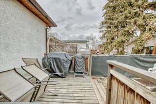 Photo 26: 2018 41 Street SE in Calgary: Forest Lawn Detached for sale : MLS®# A2039834