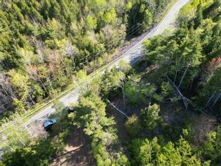 Photo 14: 6.37 acres Highway 4 in Pine Tree: 108-Rural Pictou County Vacant Land for sale (Northern Region)  : MLS®# 202303532