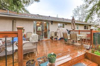 Photo 19: 14574 110A Avenue in Surrey: Bolivar Heights House for sale (North Surrey)  : MLS®# R2872220