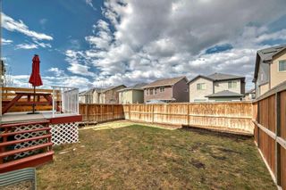 Photo 50: 350 Nolan Hill Drive NW in Calgary: Nolan Hill Detached for sale : MLS®# A2124854