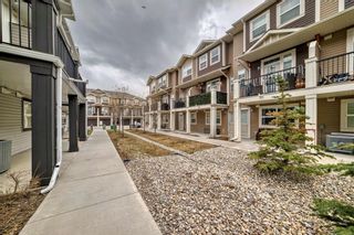 Photo 37: 80 Legacy Path SE in Calgary: Legacy Row/Townhouse for sale : MLS®# A2127467