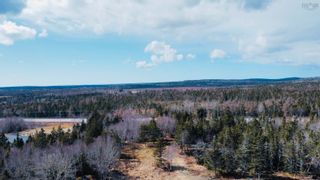Photo 14: Lot 103 Highway in Clyde River: 407-Shelburne County Vacant Land for sale (South Shore)  : MLS®# 202305154