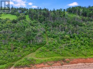 Photo 14: Point Prim in Mount Buchanan: Vacant Land for sale : MLS®# 202219584