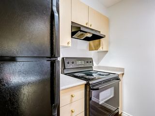 Photo 13: 3208 2280 68 Street NE in Calgary: Monterey Park Apartment for sale : MLS®# A1076085