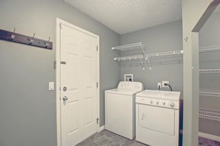 Photo 15: 24 Chapman Court SE in Calgary: Chaparral Detached for sale : MLS®# A1258949