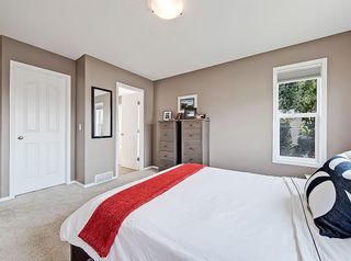 Photo 20: 250 Royal Birch Way NW in Calgary: Royal Oak Detached for sale : MLS®# A1254634