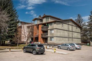 Main Photo: 204A 7301 4A Street SW in Calgary: Kingsland Apartment for sale : MLS®# A2126615
