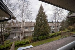 Photo 17: 280 20391 96 Avenue in Langley: Walnut Grove Townhouse for sale in "Chelsea Green" : MLS®# R2760435