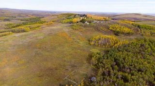 Photo 13: 64243 306 Avenue W: Rural Foothills County Detached for sale : MLS®# A2084031