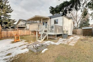 Photo 15: 3024 32A Street SE in Calgary: Dover Detached for sale : MLS®# A1175138