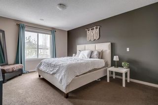 Photo 20: 9 Copperfield Point SE in Calgary: Copperfield Detached for sale : MLS®# A1100718