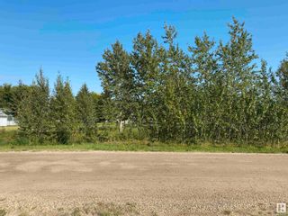Photo 4: 103 Woodlands Drive: Warburg Vacant Lot/Land for sale : MLS®# E4356105