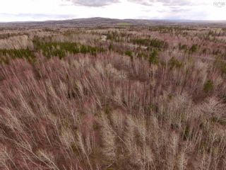 Photo 11: 67 acres Hardwood Hill Road in Hardwood Hill: 108-Rural Pictou County Vacant Land for sale (Northern Region)  : MLS®# 202308537