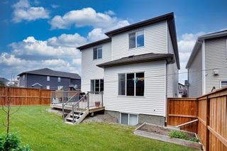 Photo 43: 61 Nolanhurst Way NW in Calgary: Nolan Hill Detached for sale : MLS®# A1244296