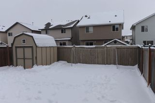Photo 49: 1530 37b Ave in Edmonton: House for sale : MLS®# E4228182