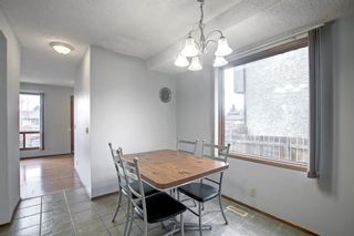 Photo 8: 33 Templeton Bay NE in Calgary: Temple Detached for sale : MLS®# A1199751
