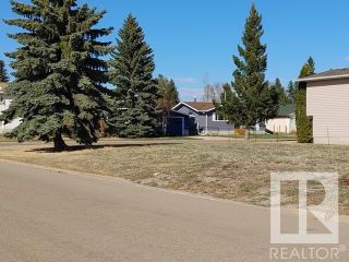 Photo 4: 5515 48 Street: Tofield Vacant Lot/Land for sale : MLS®# E4273517
