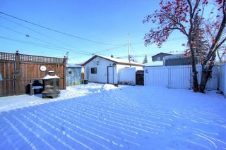 Photo 18: 4632 85 Street NW in Calgary: Bowness Detached for sale : MLS®# C4281221