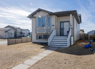 Photo 33: 176 Martinvalley Road NE in Calgary: Martindale Detached for sale : MLS®# A1196388
