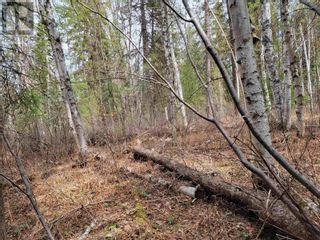 Photo 3: 3263 BOESEM ROAD in Quesnel: Vacant Land for sale : MLS®# R2877614