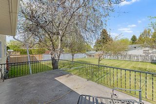 Photo 39: 5032 Dalhart Road NW in Calgary: Dalhousie Detached for sale : MLS®# A2049162