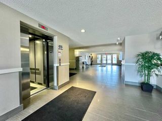 Photo 20: 303 6603 New Brighton Avenue SE in Calgary: New Brighton Apartment for sale : MLS®# A2121574