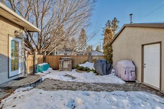 Photo 43: 819 Avonlea Place SE in Calgary: Acadia Detached for sale : MLS®# A2013147
