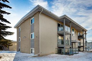 Photo 31: 12 609 67 Avenue SW in Calgary: Kingsland Apartment for sale : MLS®# A2035138