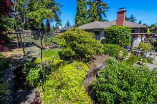 Photo 16: 890 Dellwood Rd in Esquimalt: Es Kinsmen Park House for sale : MLS®# 910482
