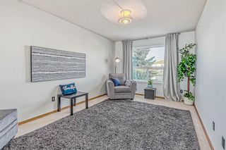 Photo 16: 52 Applewood Court SE in Calgary: Applewood Park Detached for sale : MLS®# A2018208