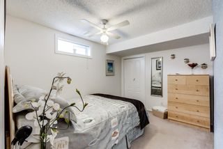 Photo 22: 267 Pineland Place NE in Calgary: Pineridge Detached for sale : MLS®# A1217286