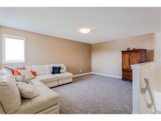 Photo 19: 21 Evansview Manor NW in Calgary: Evanston House for sale : MLS®# C4070895