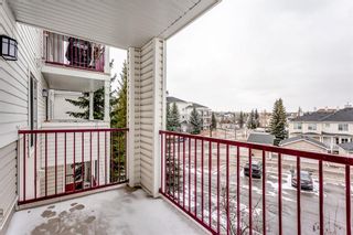 Photo 20: 310 9 Country Village Bay NE in Calgary: Country Hills Village Apartment for sale : MLS®# A1212874