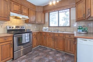 Photo 20: 124 Pineland Place NE in Calgary: Pineridge Detached for sale : MLS®# A1206997