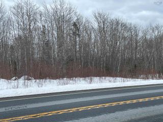 Photo 2: Lot Highway 3 in White Point: 406-Queens County Vacant Land for sale (South Shore)  : MLS®# 202303592