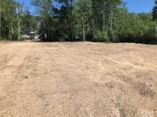Photo 5: 105 Brown Street in Emma Lake: Lot/Land for sale : MLS®# SK891558