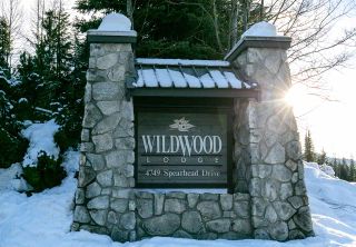 Photo 20: 302 4749 SPEARHEAD Drive in Whistler: Benchlands Condo for sale in "WILDWOOD" : MLS®# R2450279
