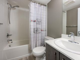 Photo 14: 1508 4641 128 Avenue NE in Calgary: Skyview Ranch Apartment for sale : MLS®# A2031109