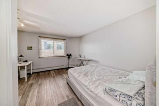 Photo 16: 109 110 20 Avenue NE in Calgary: Tuxedo Park Apartment for sale : MLS®# A2122096