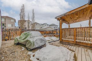 Photo 30: 21 COVILLE Bay NE in Calgary: Coventry Hills Detached for sale : MLS®# A2013434
