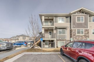 Photo 27: 144 300 Marina Drive: Chestermere Apartment for sale : MLS®# A1196987