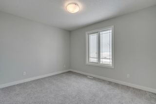 Photo 36: 228 Red Sky Terrace NE in Calgary: Redstone Detached for sale : MLS®# A1064865
