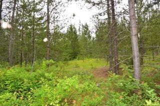Photo 32: DL 1335A 37 Highway: Kitwanga Land for sale (Smithers And Area (Zone 54))  : MLS®# R2471833
