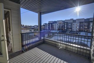 Photo 48: 2305 1317 27 Street SE in Calgary: Albert Park/Radisson Heights Apartment for sale : MLS®# A1060518